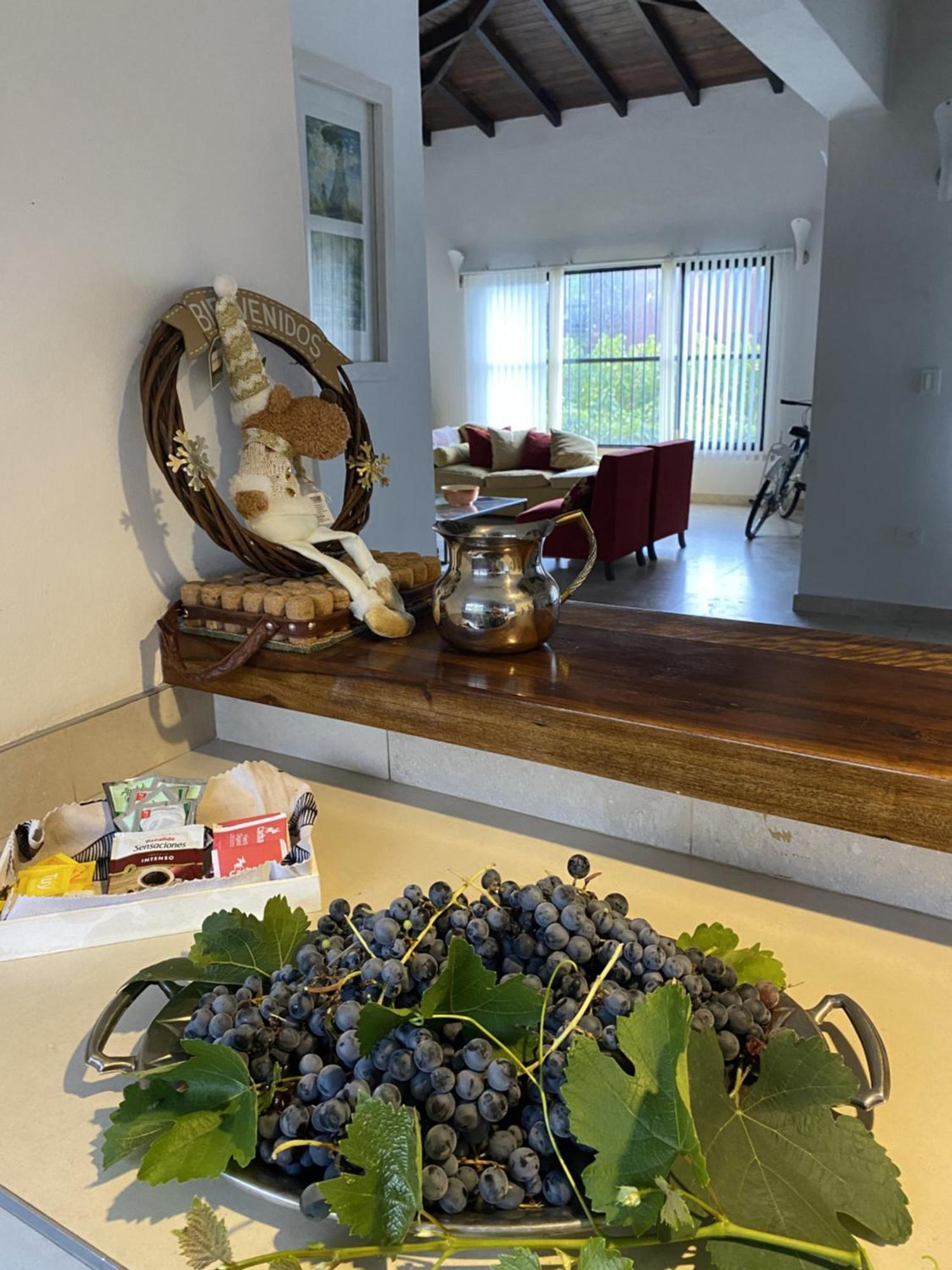 Holiday home Casa En Chacras De Coria Con Vinedo Y Jacuzzi